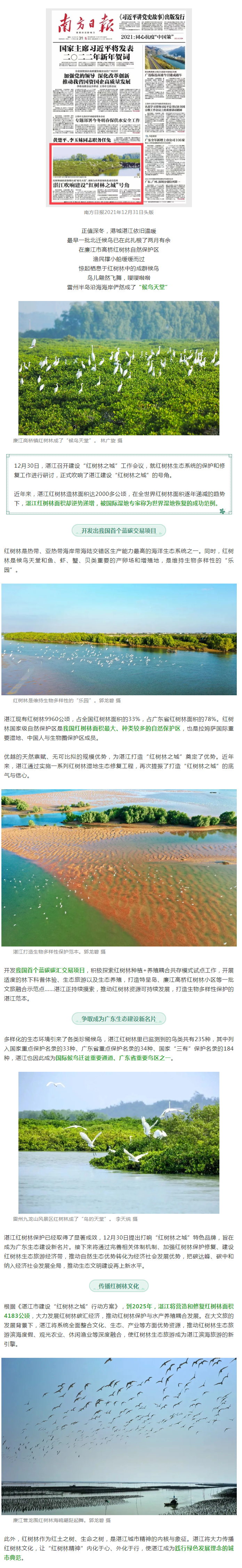 世界濕地恢復(fù)成功范例&hellip;&hellip;南方日報頭版重磅聚焦湛江！.png