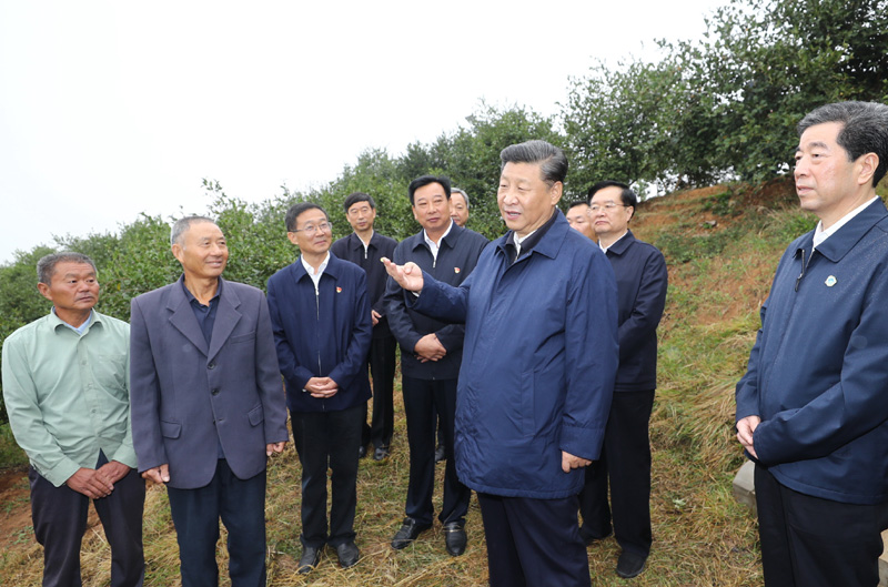 　　9月16日至18日，中共中央總書記、國家主席、中央軍委主席習近平在河南考察。這是17日上午，習近平來到信陽市光山縣槐店鄉司馬光油茶園，同正在勞作的村民和管理人員交流。 新華社記者 鞠鵬 攝