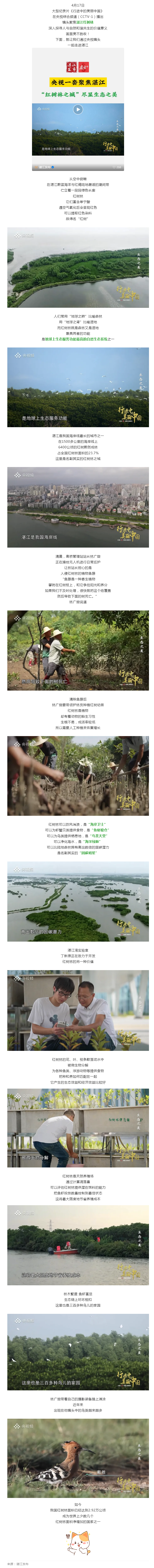 超8分鐘！CCTV-1重磅聚焦湛江“固碳明星”....._.png