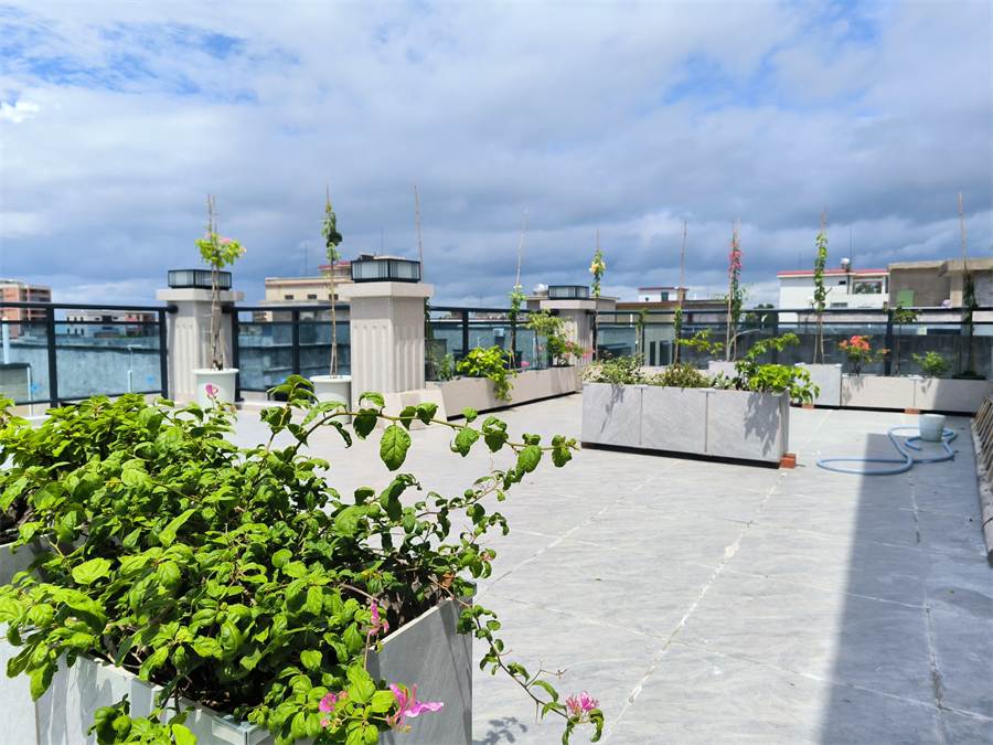 草潭鎮新建村.jpg