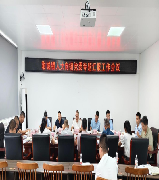 附城鎮人大：向黨委專題匯報人大工作