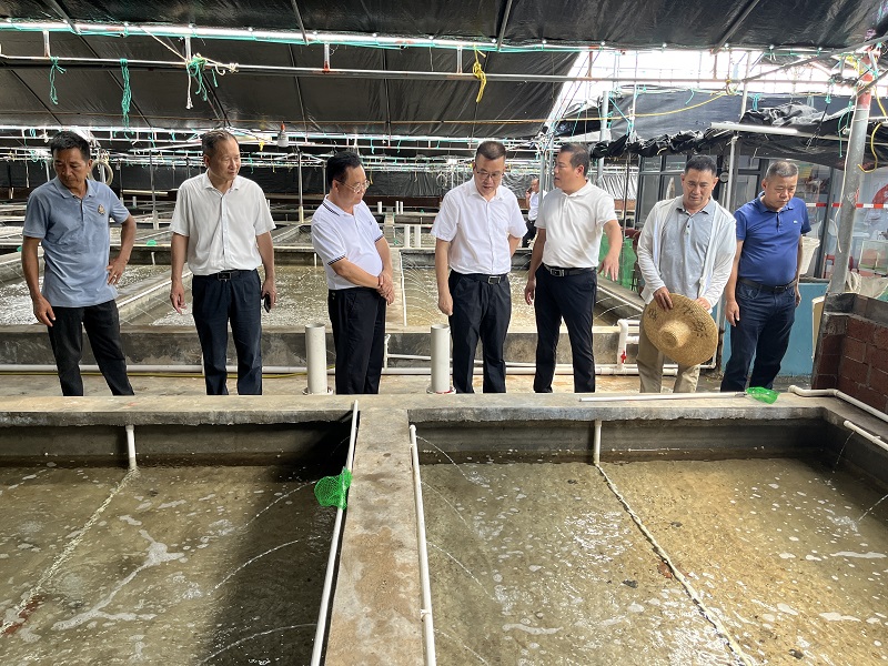 市政協(xié)到樂(lè)民鎮(zhèn)開(kāi)展“百千萬(wàn)工程”工作考察調(diào)研